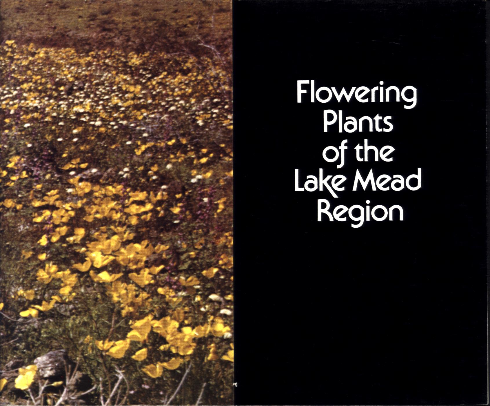 FLOWERING PLANTS OF THE LAKE MEAD REGION